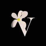 Vira | Holistic women’s health