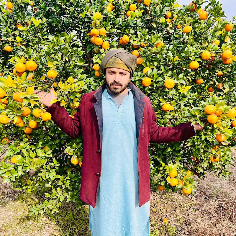 sada apna bajwat 