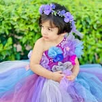 Momil Qaiser