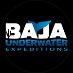 Baja Underwater Expeditions