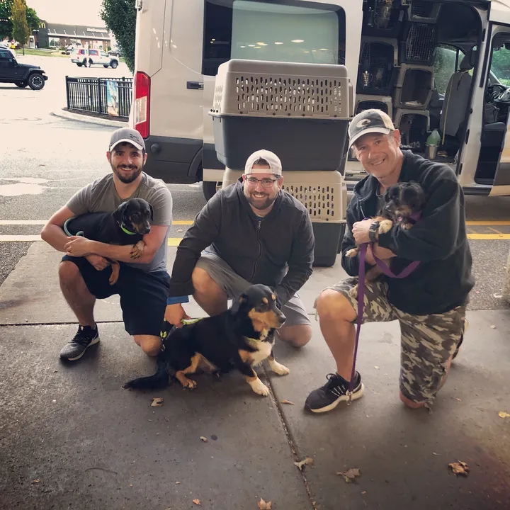 petlandnht