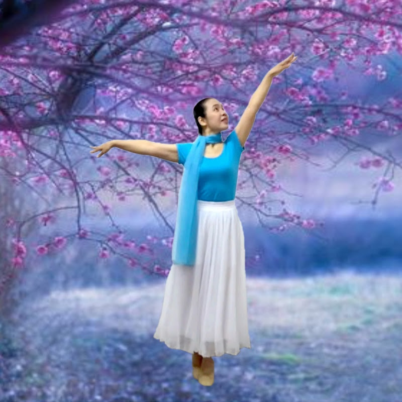 Lotus Tai Chi & Fitness