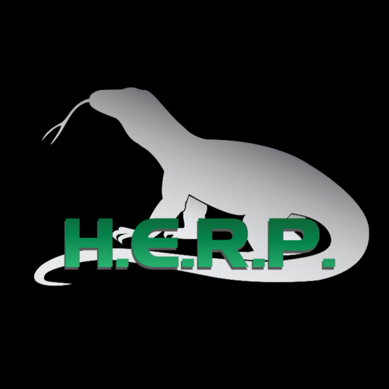 H.E.R.P. Channel