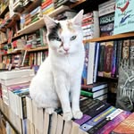Nautilus English Books
