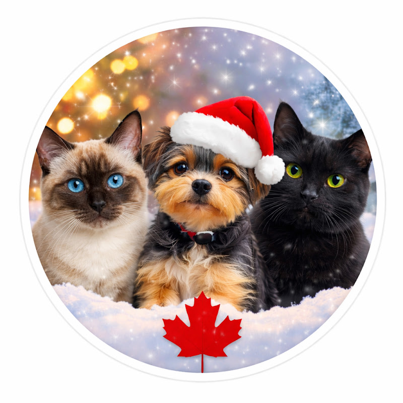 TalesofCanada