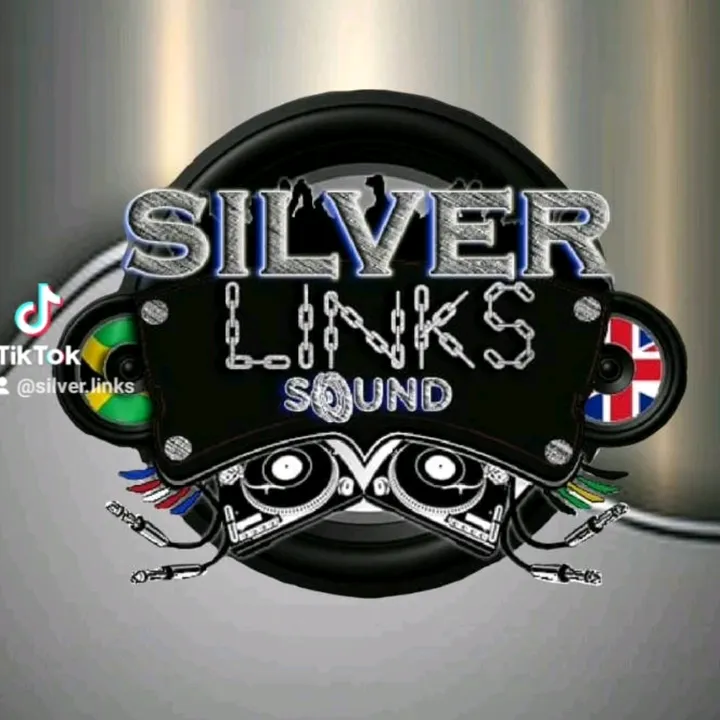 Silverlinks
