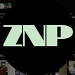 Zeplin Nanda Pratama