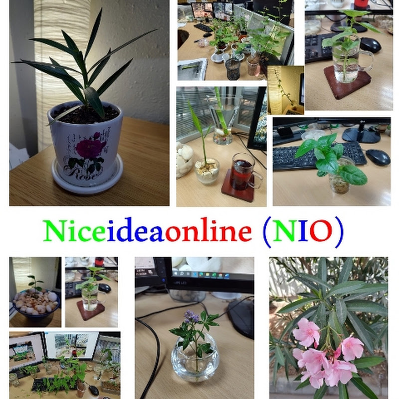 niceideaonline
