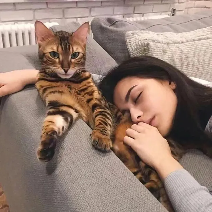 amberr