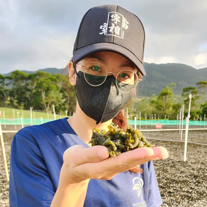雨來菇二姊