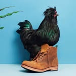 Dundas Footwear