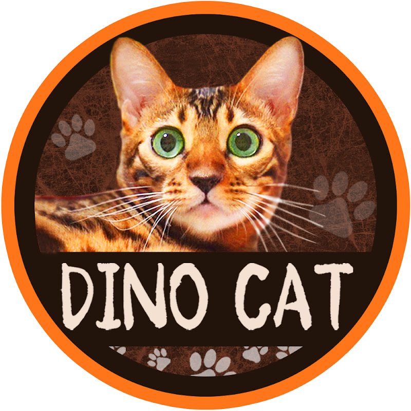 DINO CAT