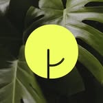 The Purest Co.