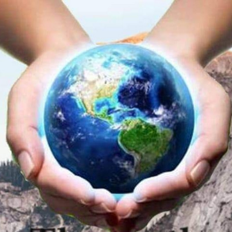 Singapore Nature & Mixed Vlogs 