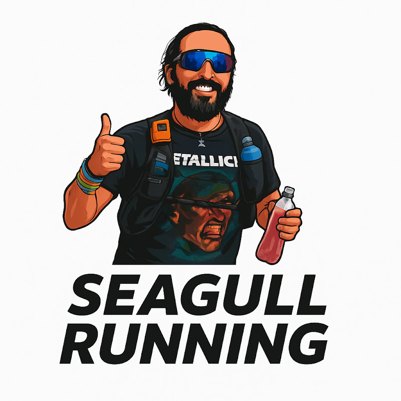 Seagull Running