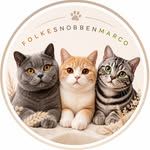 FolkeSnobbenMarco | BSH