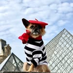 Chichi the traveler