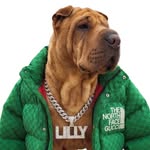 Lilly I