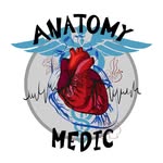 Anatomies of the Human Body🩺™︎