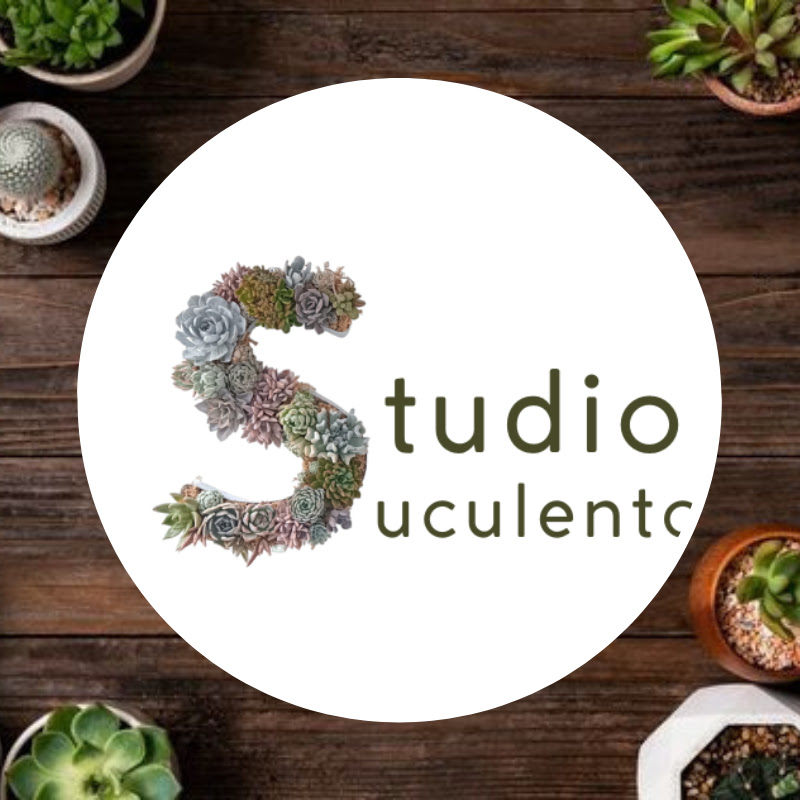 Studio Suculento