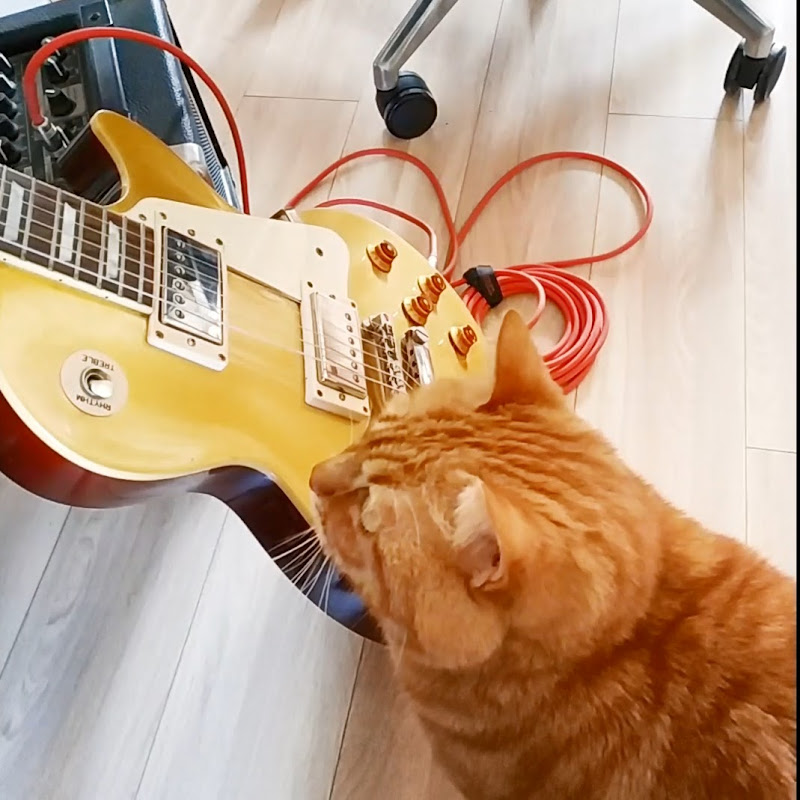 Emily Y. Chowac (Melodic Rock Feline)