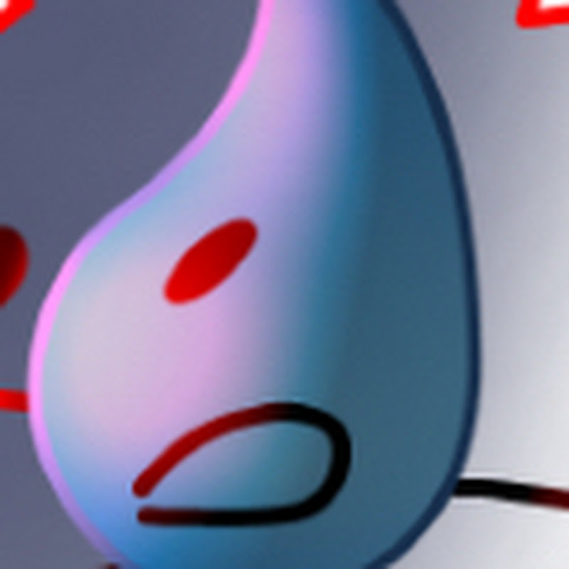 SG ANIMATIONS