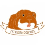 TITORENOGPIGS