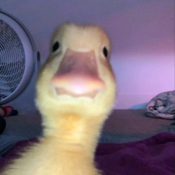 🪐!
