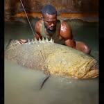 Prince🇳🇬♋️🎣