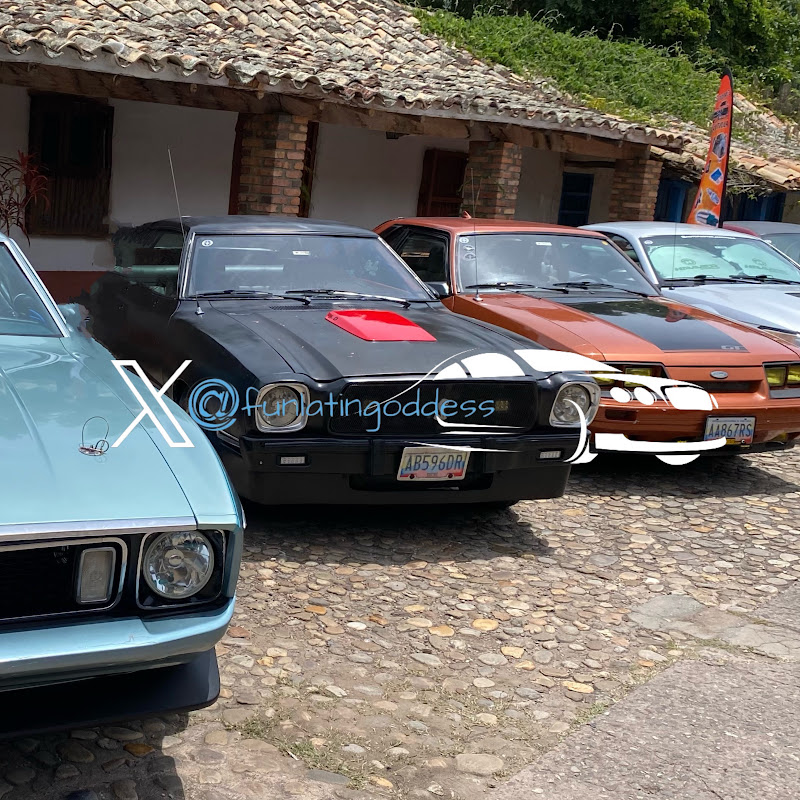 The fun of the latin Goddesses