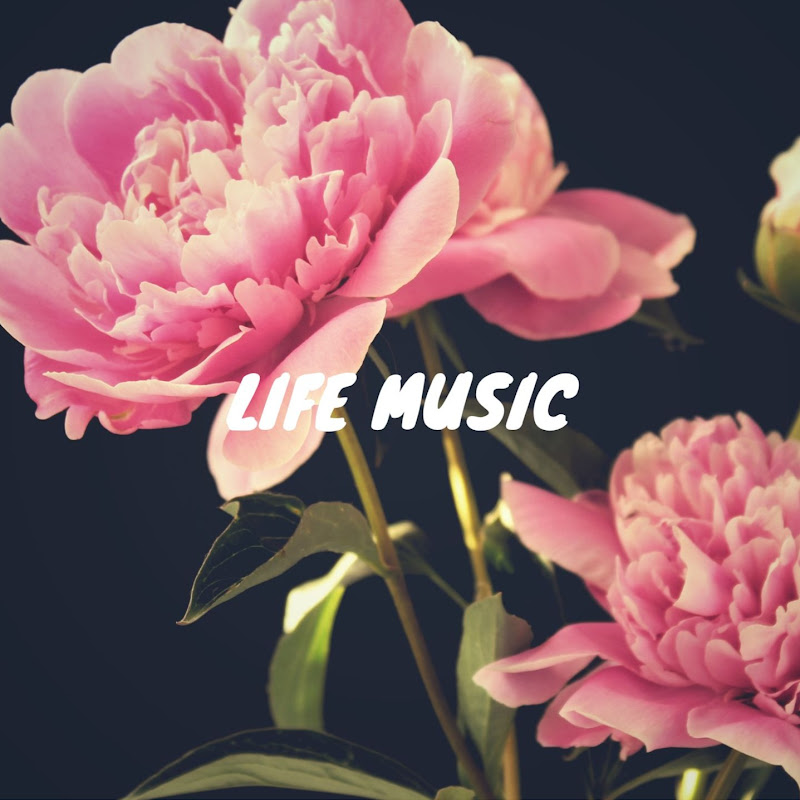 Life Music