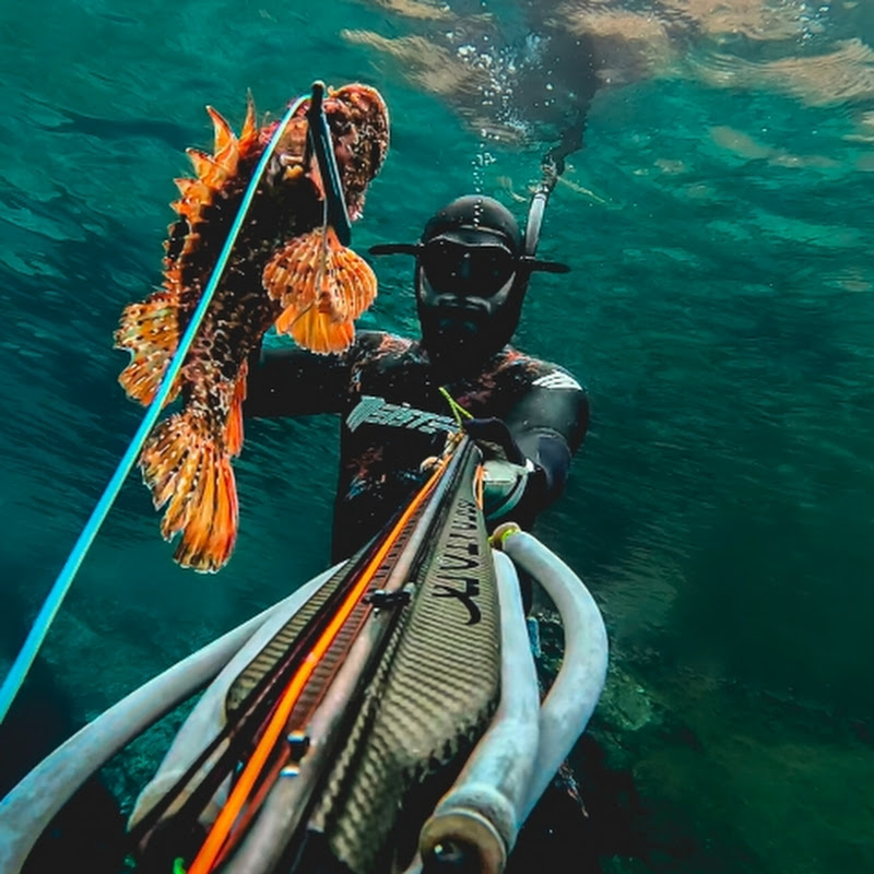 Dionisis Anagnostopoulos