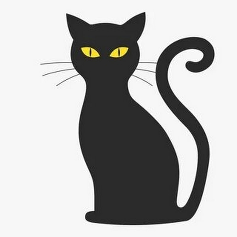 Mariannа сute cats