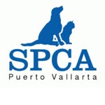 SPCA PV