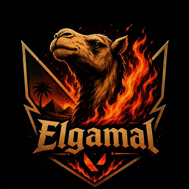 الجمل فالو | ElGamal Valo