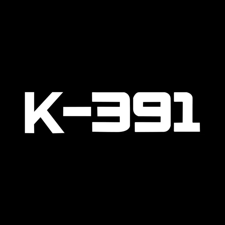 k-391