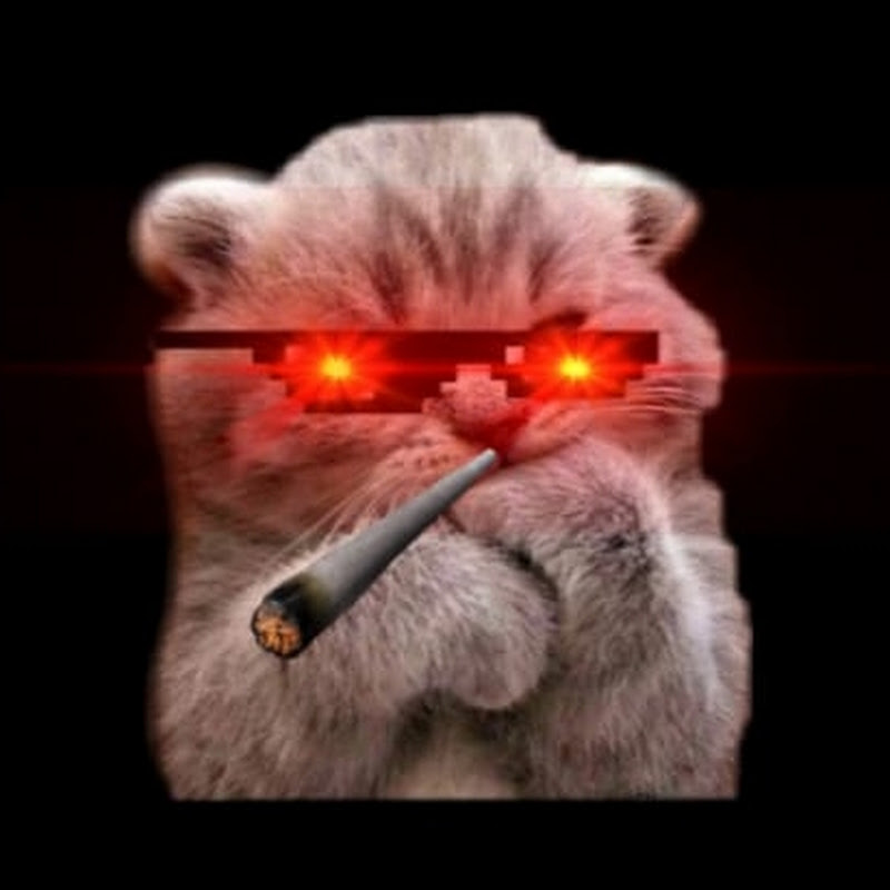 IamNotMateiYT