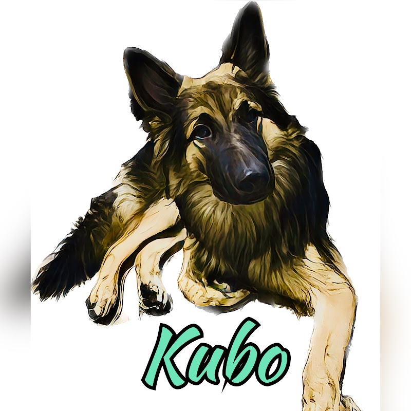 Kubo - The German Shepherd Puppy