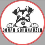 Conanschanuzer/ Venezuela🇻🇪
