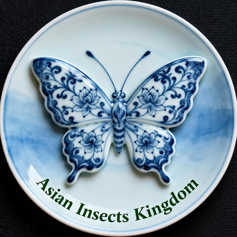 Asian Insects Kingdom