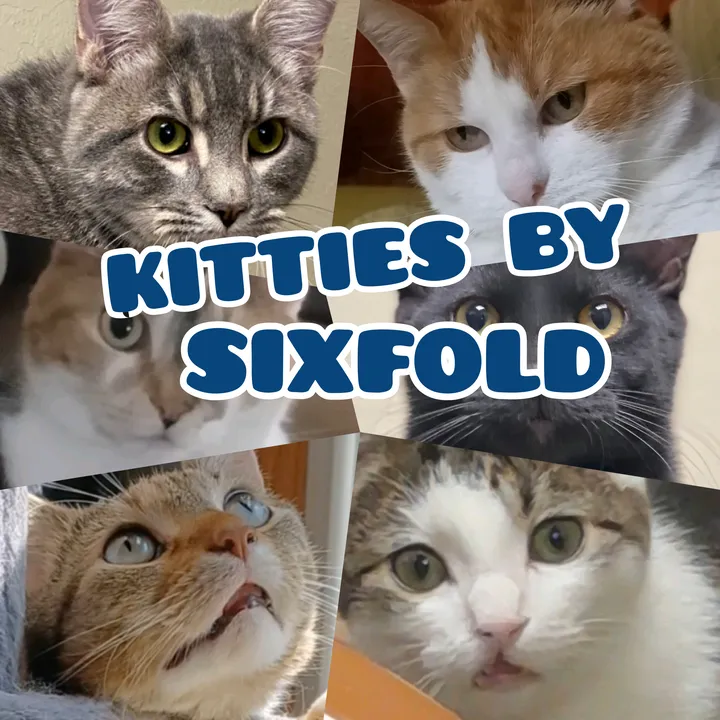 Kitties by Sixfold