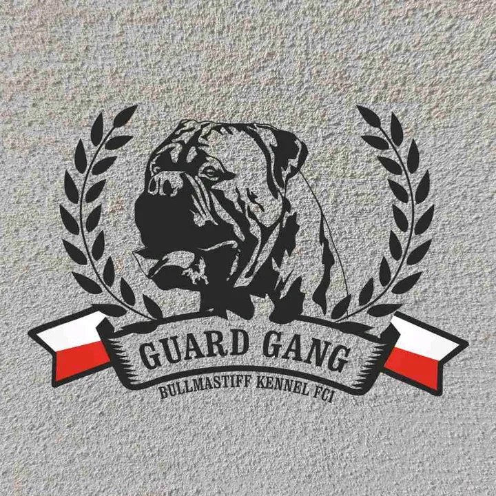 GuardgangFCI