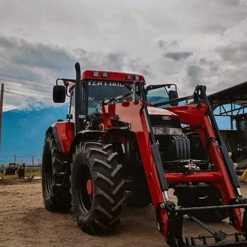 Νίκος Χ Τσιγγόπουλος