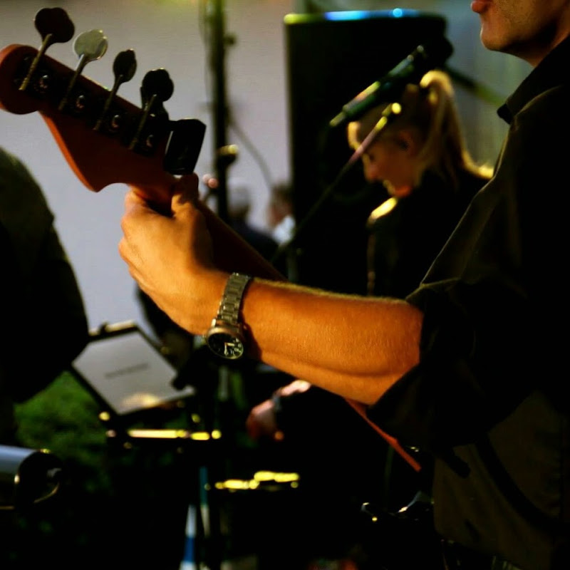 Darbass BassCovers