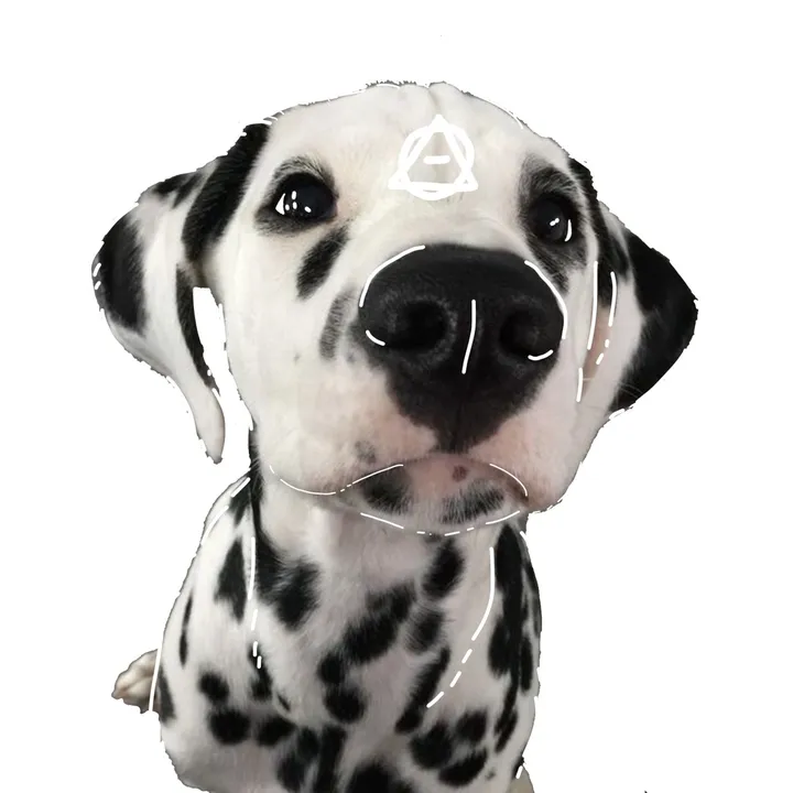 ‧₊˚ 🐾⋅axle ₊˚ෆ