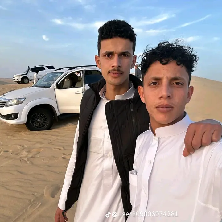 حامد  الشتورى