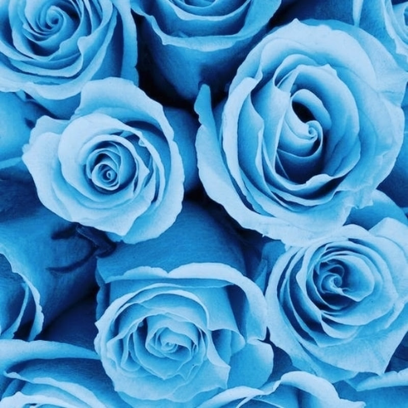 𝕃Įђ卂ŇⒾм Ｐ𝒶𝓼卄𝔸  