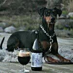 craftbeersweden