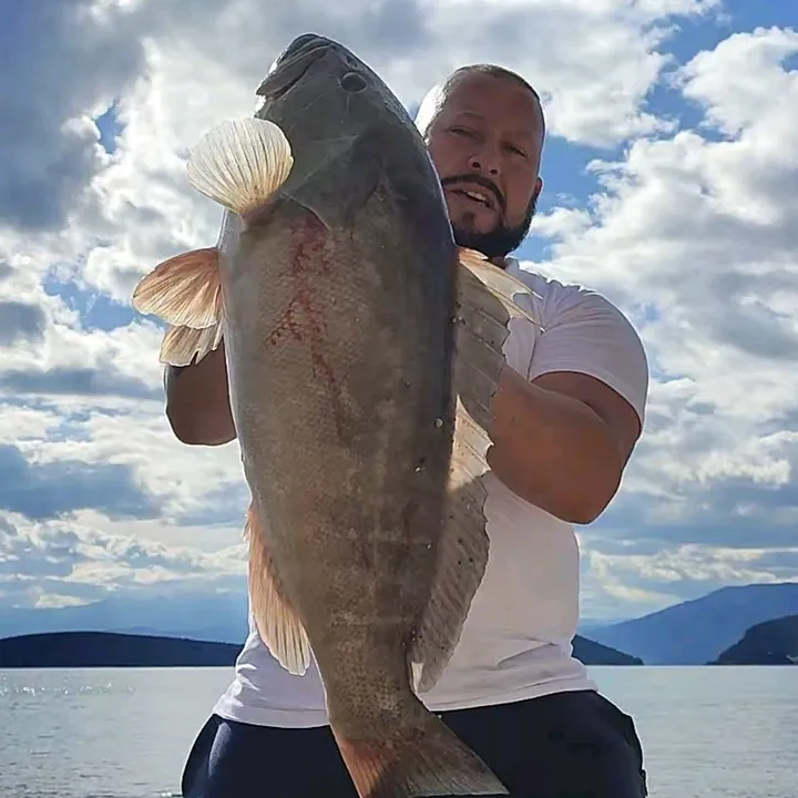 🇬🇷 Heavy Casting 🇬🇷