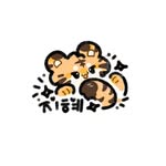 지혜✌︎('ω'✌︎ )
